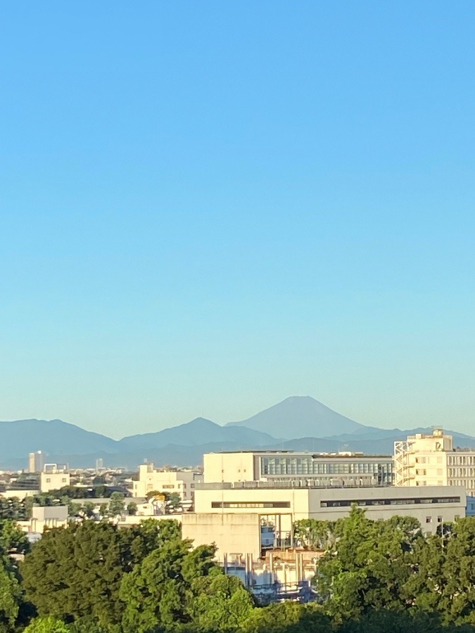 今朝の富士山