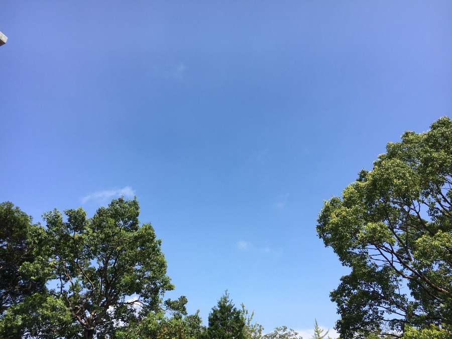 ⭕️空部→ 今日の空（≧∇≦）‼️755.