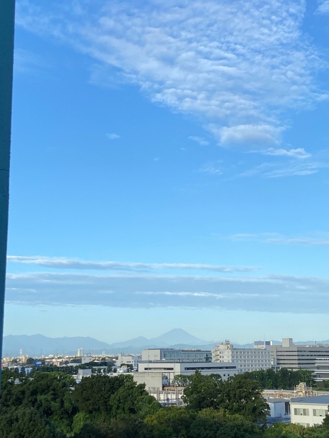 今朝の富士山