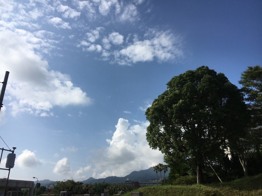 ⭕️空部→ 今日の空（≧∇≦）‼️756.