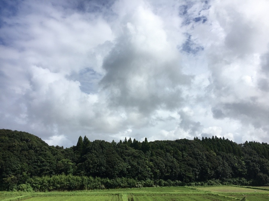 ⭕️空部→ 今日の空（≧∇≦）‼️784.