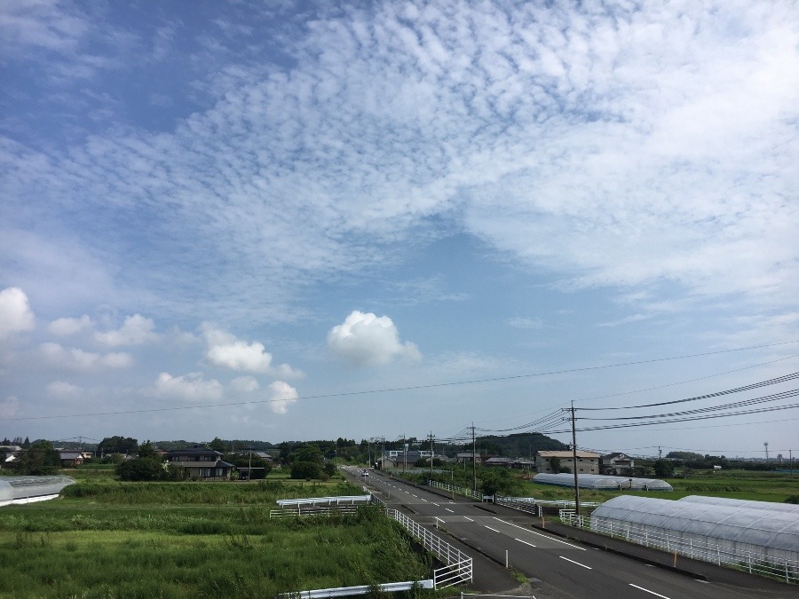 ⭕️空部→ 今日の空（≧∇≦）‼️780.