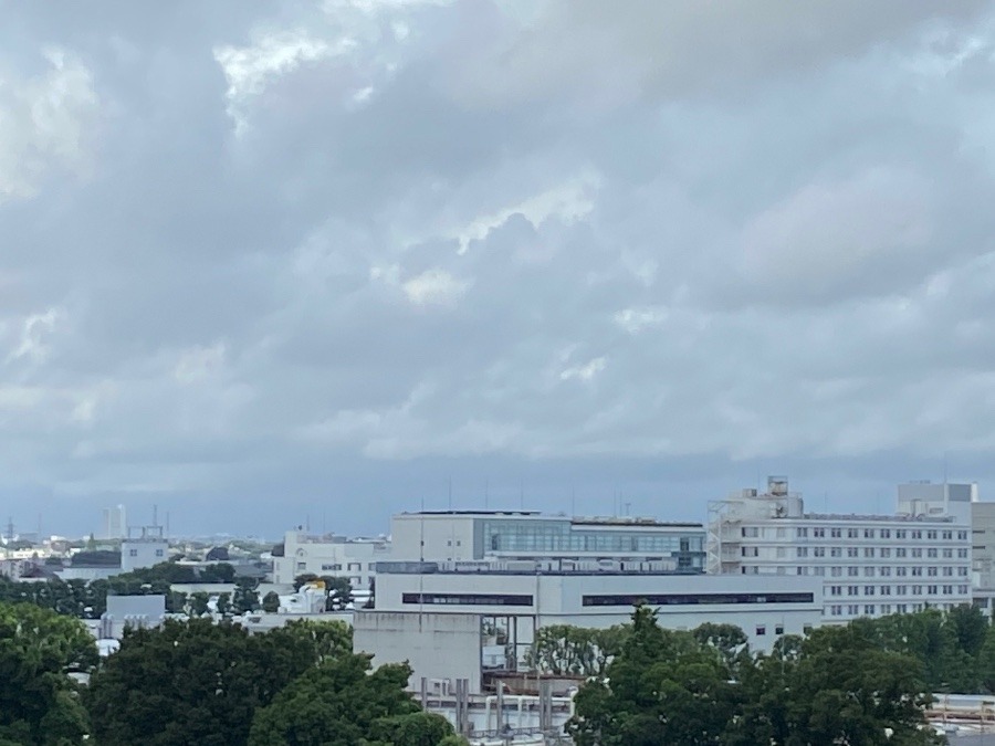 今朝の富士山