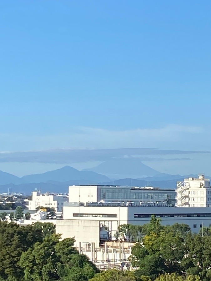 今朝の富士山