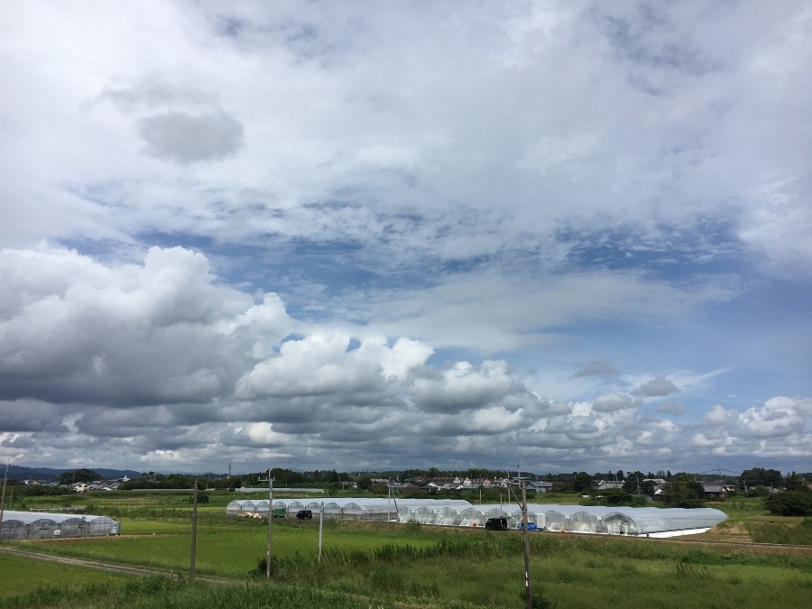 ⭕️空部→ 今日の空（≧∇≦）‼️809.