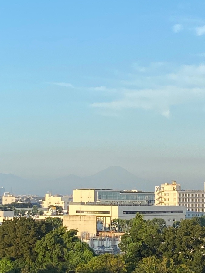 今朝の富士山