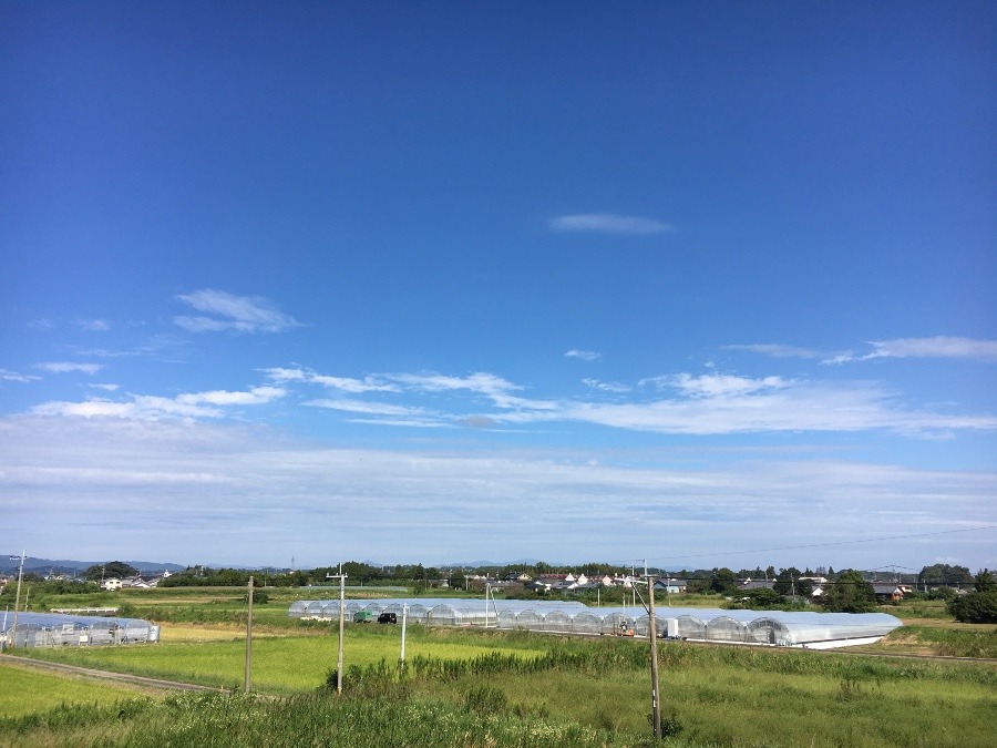 ⭕️空部→ 今日の空（≧∇≦）‼️829.