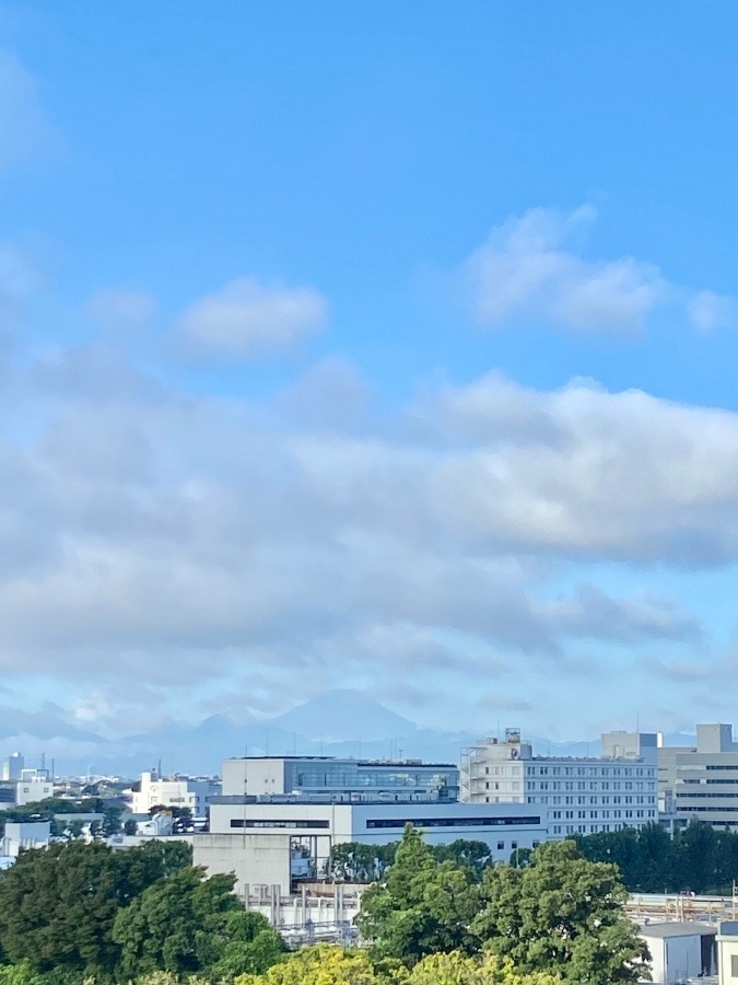 今朝の富士山