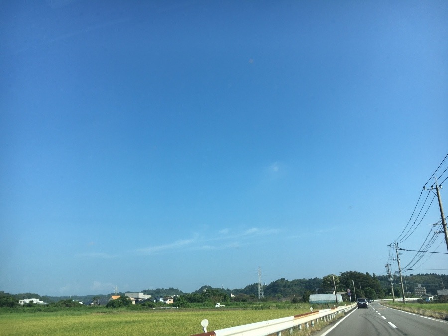 ⭕️空部→ 今日の空（≧∇≦）‼️816.