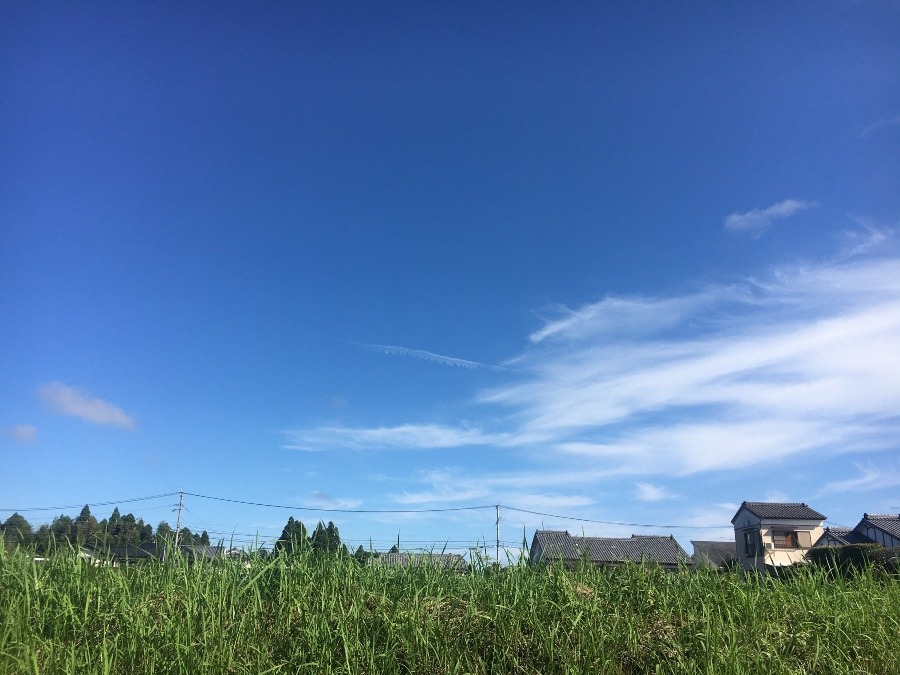 ⭕️空部→ 今日の空（≧∇≦）‼️806.