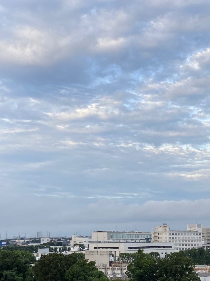 今朝の富士山