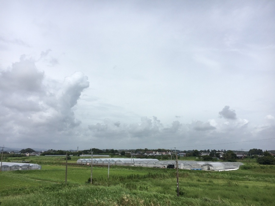 ⭕️空部→ 今日の空（≧∇≦）‼️793.