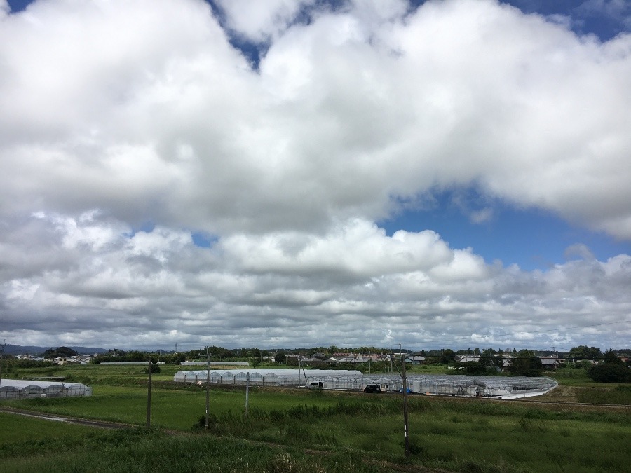 ⭕️空部→ 今日の空（≧∇≦）‼️796.