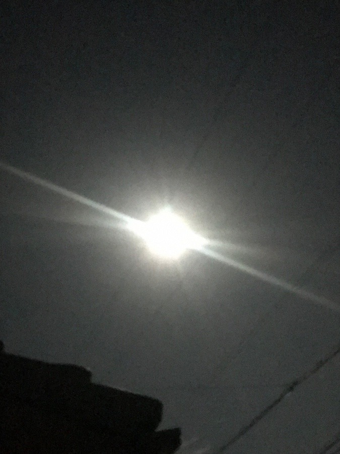 中秋の名月🌕 その2