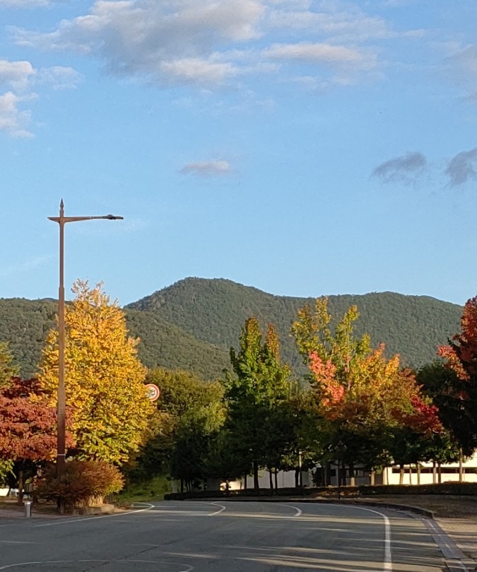 紅葉始め🍁