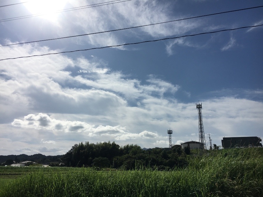 ⭕️空部→ 今日の空（≧∇≦）‼️850.