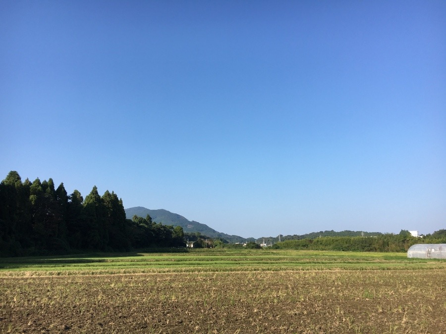 ⭕️空部→ 今日の空（≧∇≦）‼️893.