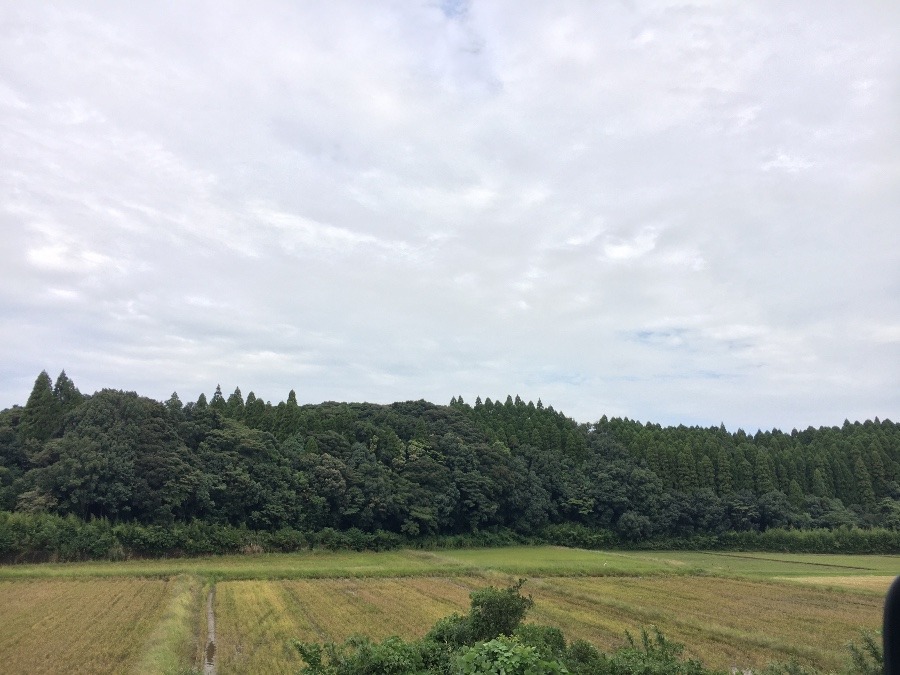 ⭕️空部→ 今日の空（≧∇≦）‼️871.