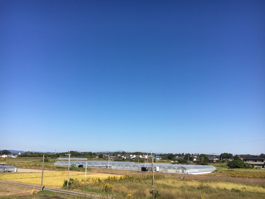 ⭕️空部→ 今日の空（≧∇≦）‼️898.