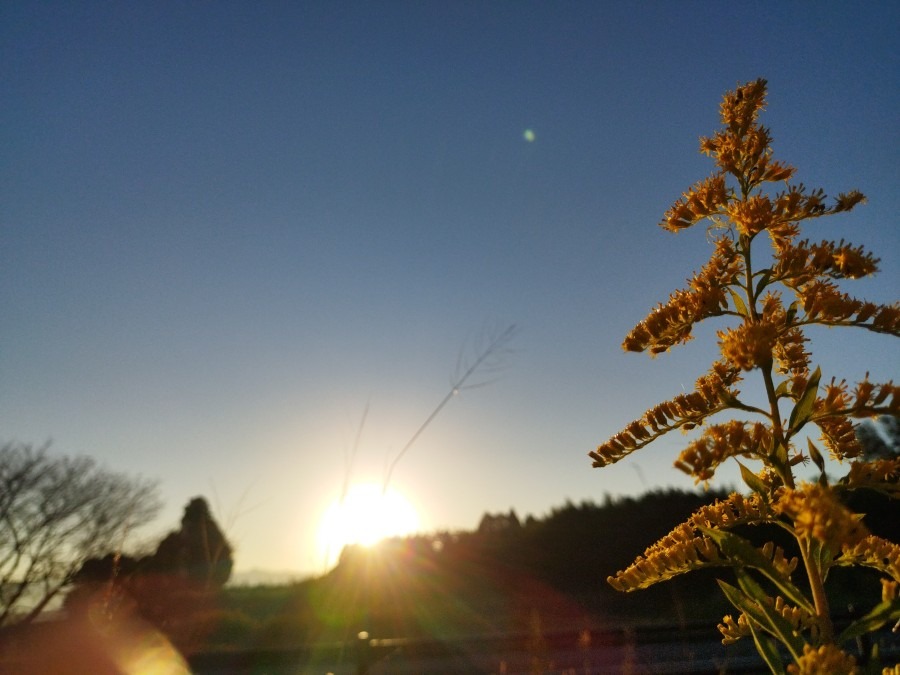 🌄朝陽を浴びて🌼✨😊