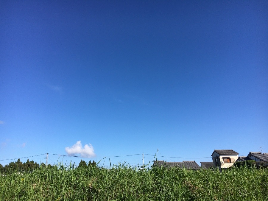 ⭕️空部→ 今日の空（≧∇≦）‼️865.