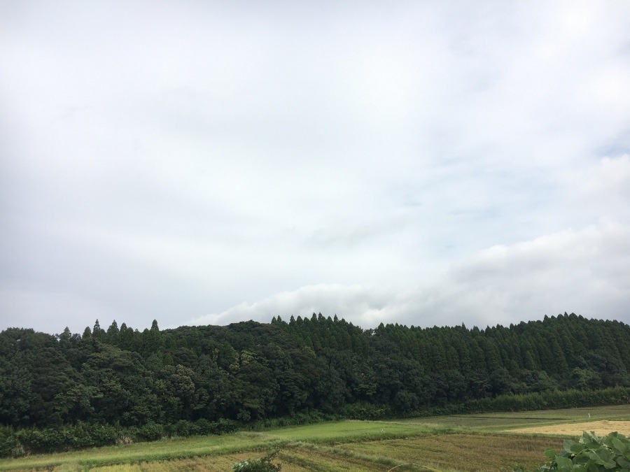 ⭕️空部→ 今日の空（≧∇≦）‼️852.