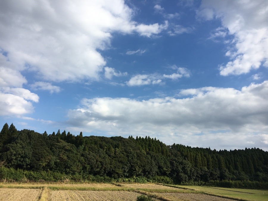 ⭕️空部→ 今日の空（≧∇≦）‼️903.