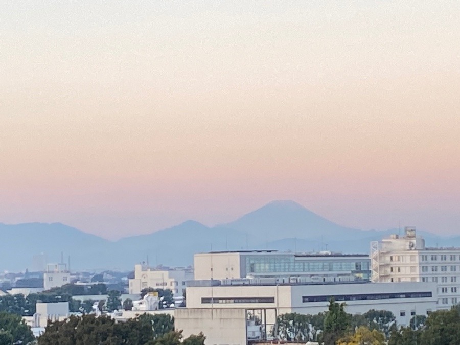 今朝の富士山