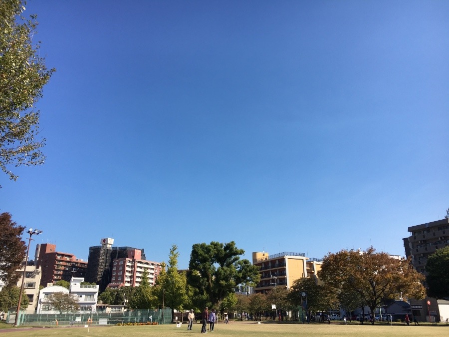 ⭕️空部→ 今日の空（≧∇≦）‼️905.