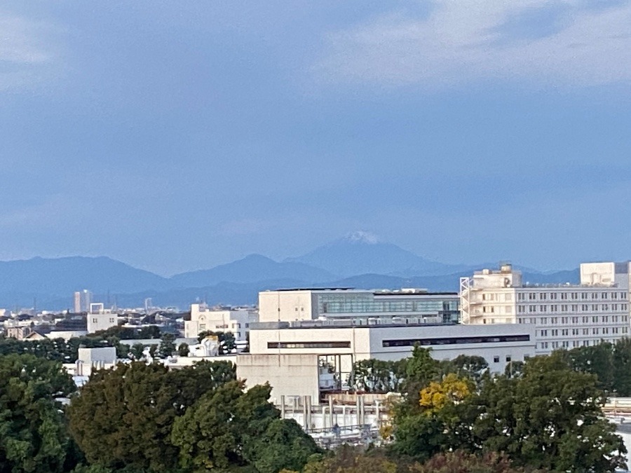 今朝の富士山