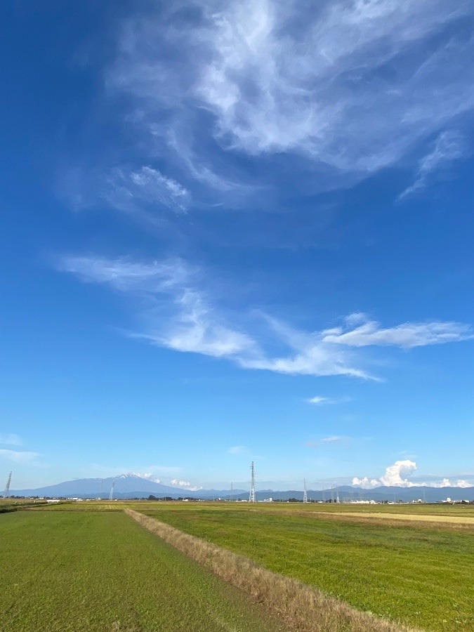 庄内平野☀️