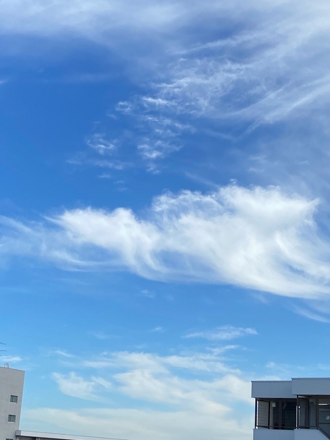 ふと窓から見た空の雲　秋の雲　巻雲かな〜