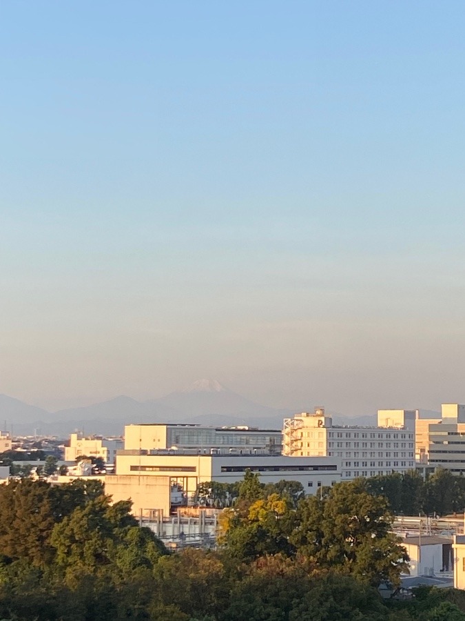 今朝の富士山