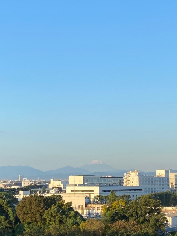 今朝の富士山