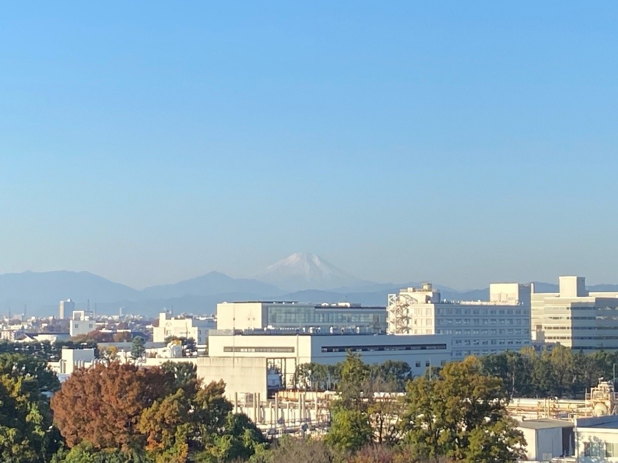 今朝の富士山