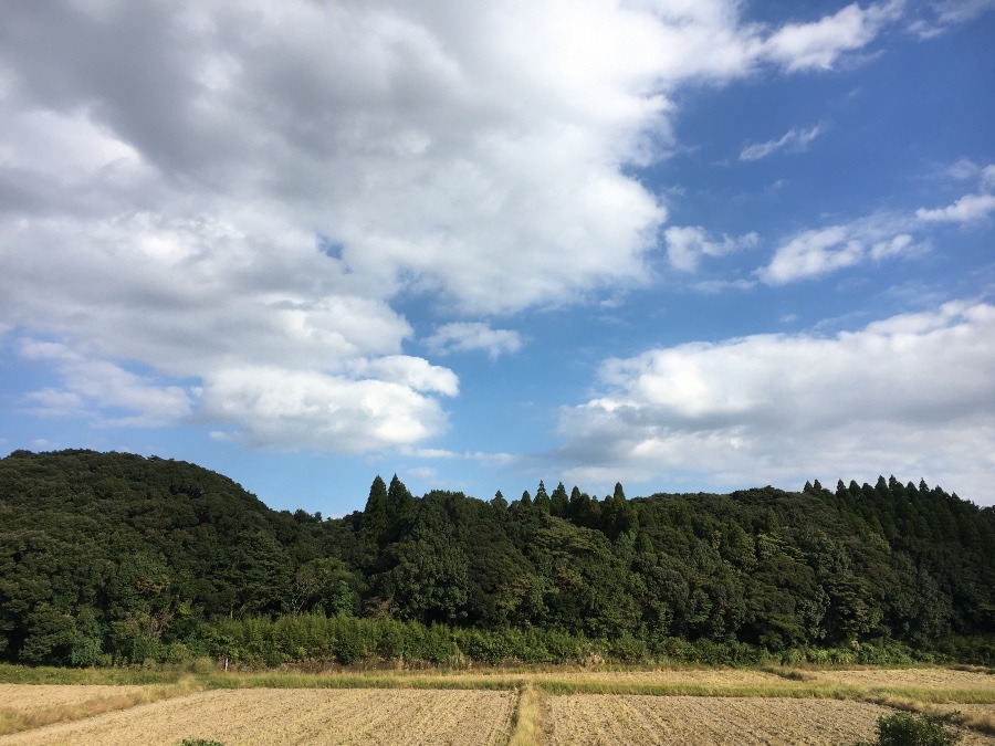 ⭕️空部→ 今日の空（≧∇≦）‼️913.