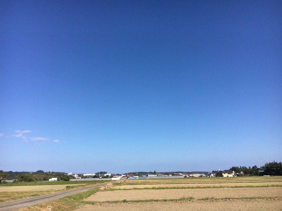 ⭕️空部→ 今日の空（≧∇≦）‼️908.