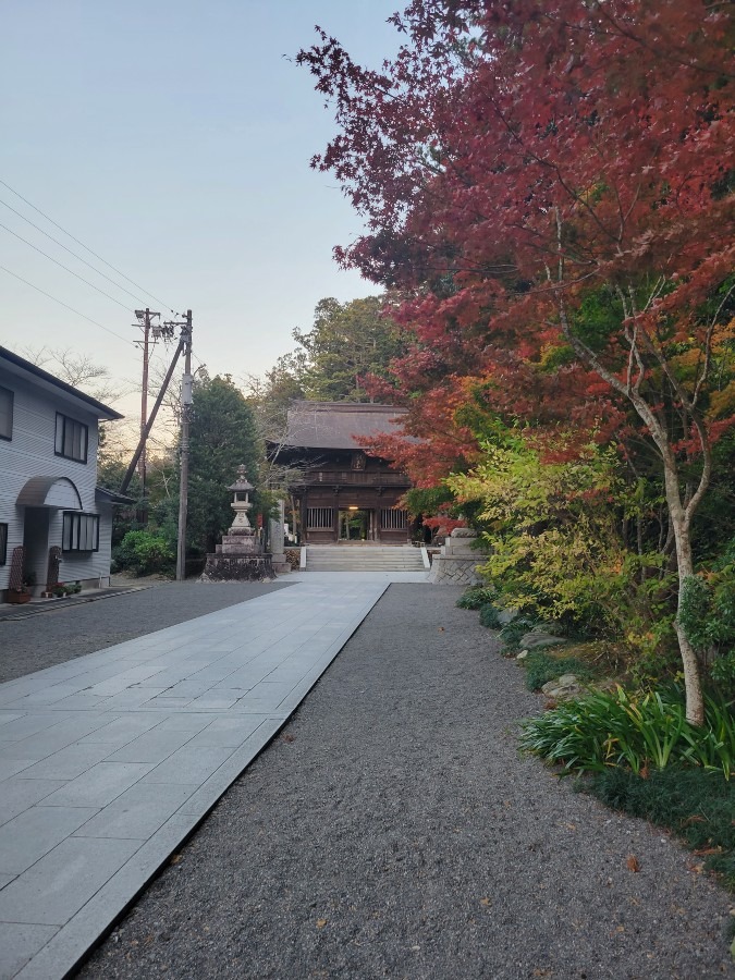 法多山尊永寺もみじまつり2023②