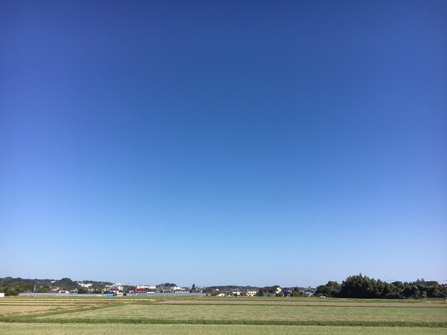 ⭕️空部→ 今日の空（≧∇≦）‼️917.