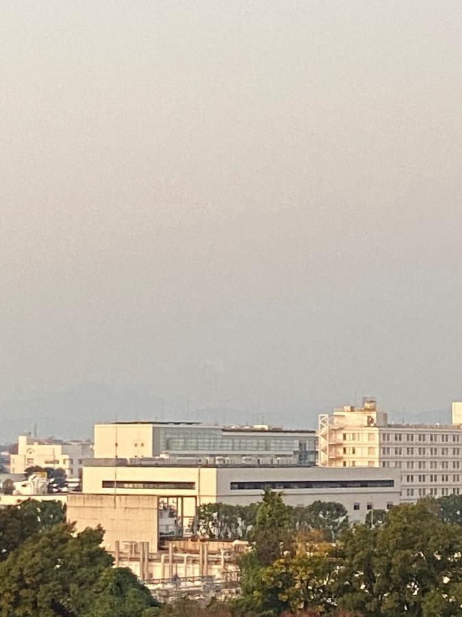 今朝の富士山