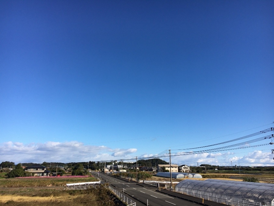 ⭕️空部→ 今日の空（≧∇≦）‼️935.