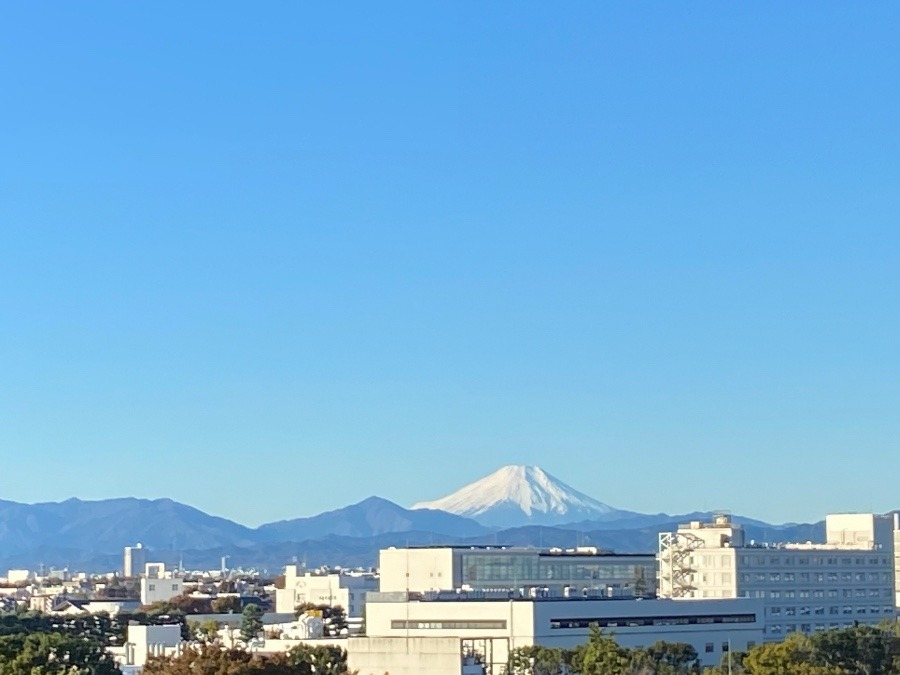 今朝の富士山