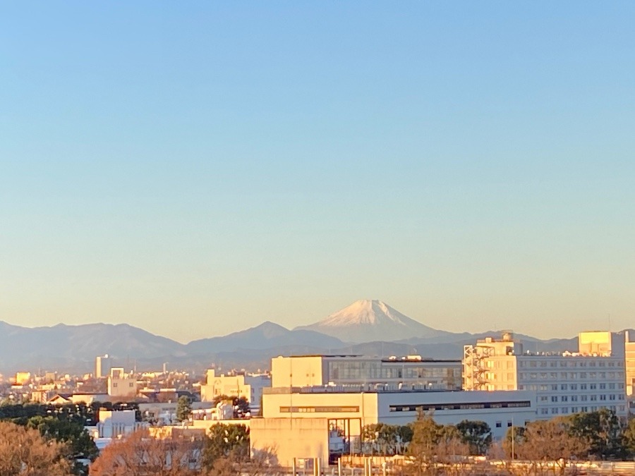 今朝の富士山