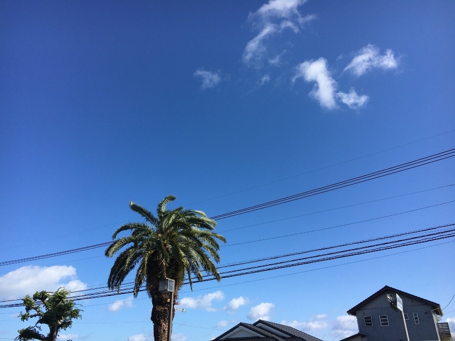 ⭕️空部→ 今日の空（≧∇≦）‼️948.