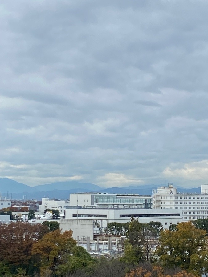 師走一日　今朝の富士山