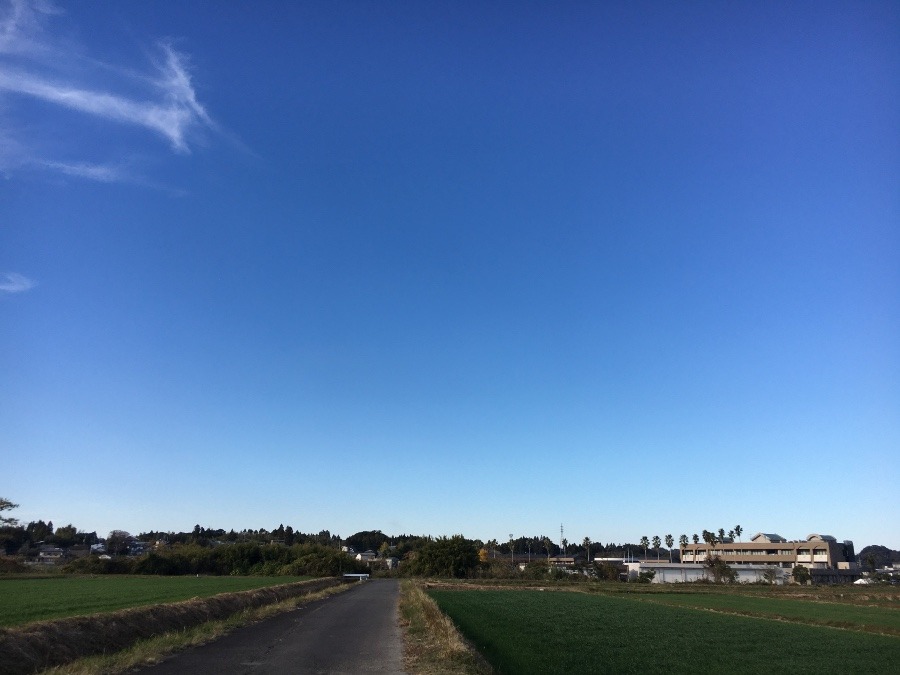 ⭕️空部→ 今日の空（≧∇≦）‼️967.