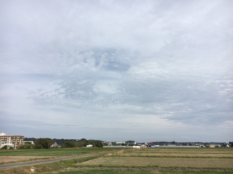 ⭕️空部→ 今日の空（≧∇≦）‼️962.