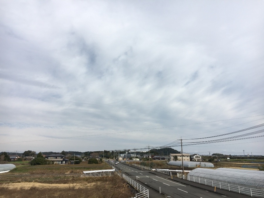 ⭕️空部→ 今日の空（≧∇≦）‼️981.