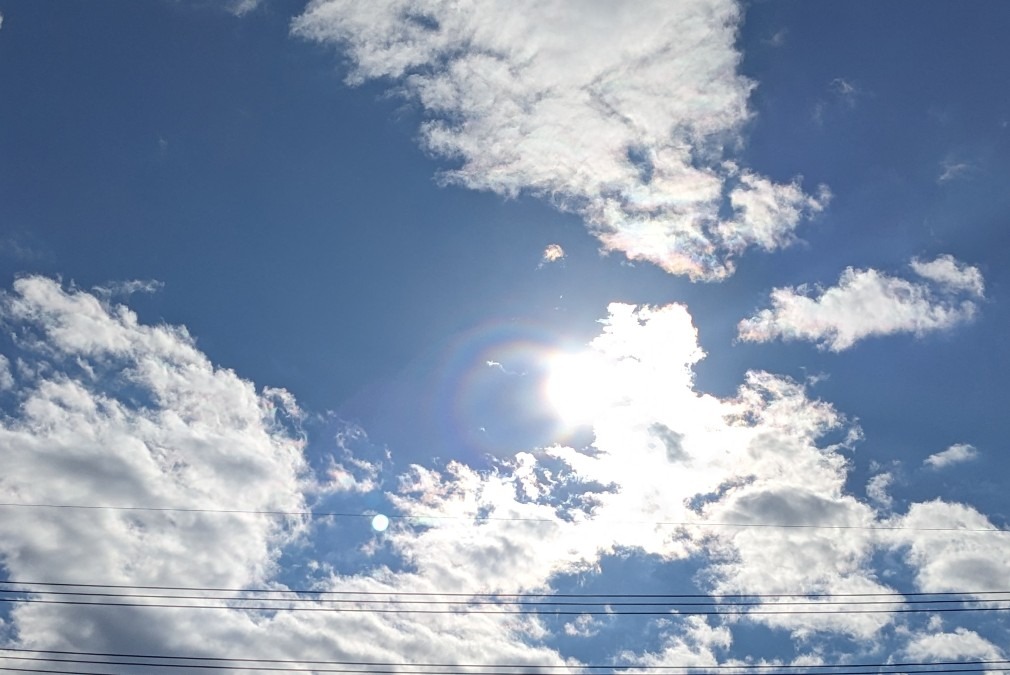 久しぶりの彩雲