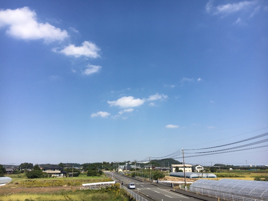 ⭕️空部→ 今日の空（≧∇≦）‼️965.